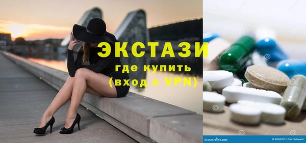 крисы Богородицк