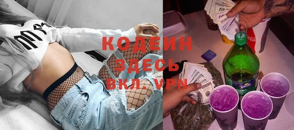 крисы Богородицк