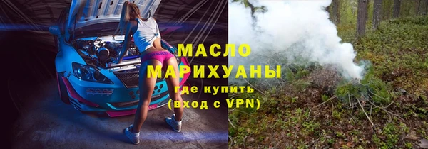 крисы Богородицк